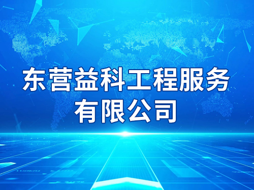 ��Ӫ��ƹ��̷������޹�˾